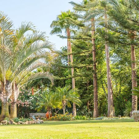 The Grand Oasis Estepona Μαρμπέλλα Εξωτερικό φωτογραφία